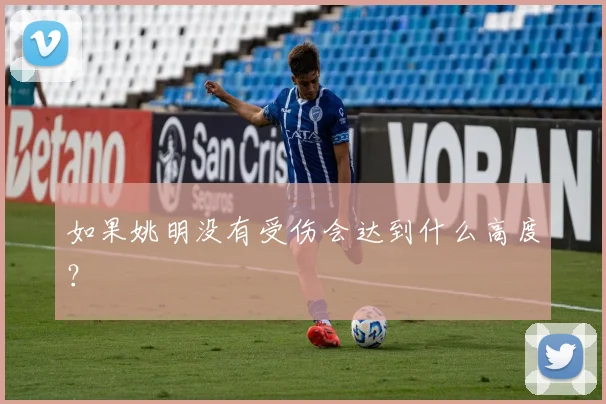 如果姚明没有受伤会达到什么高度?